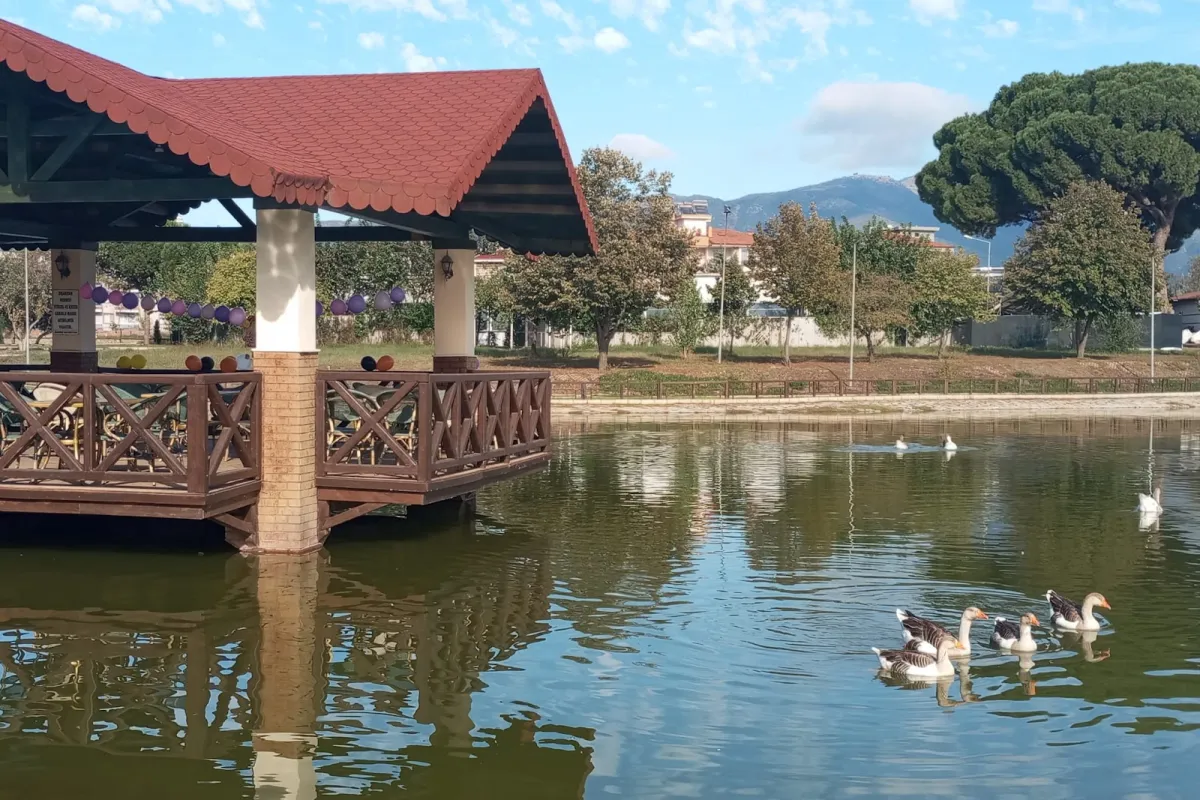Tahir Çaylı Pool Park photo 1