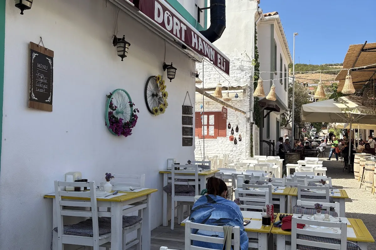 Dört hanımeli photo 1