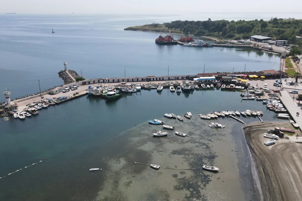 T.C. Marmaraereğlisi Belediyesi photo 1