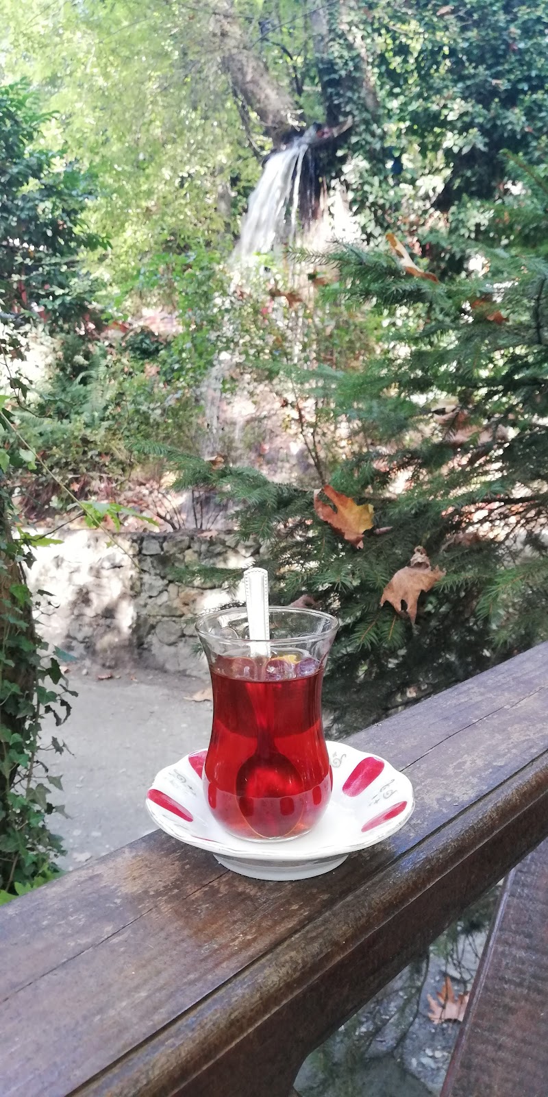 Saklibahce Selaleli Restaurant photo 4