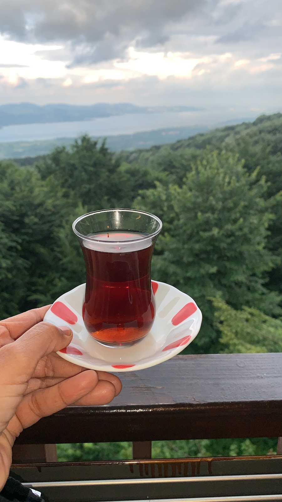 Saklı Vadi Restaurant - Maşukiye, Kartepe photo 4