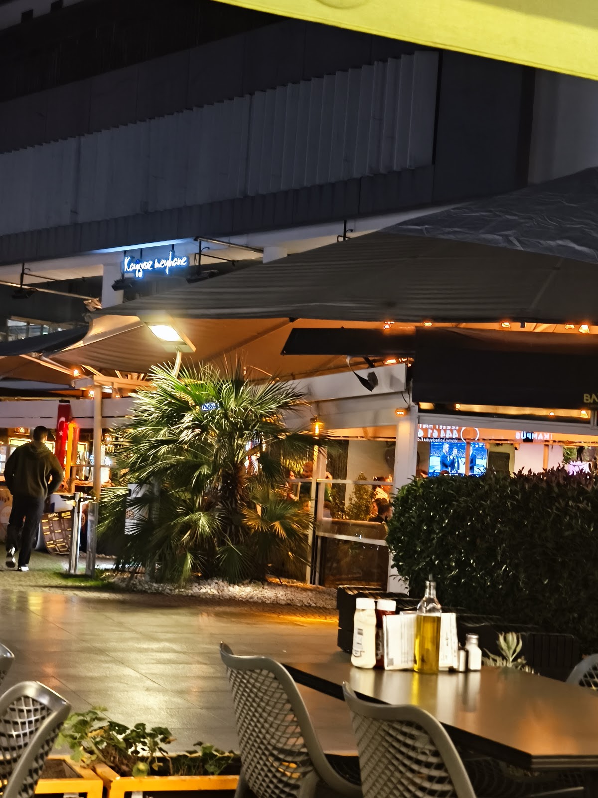 BAMM Garden & Night photo 9