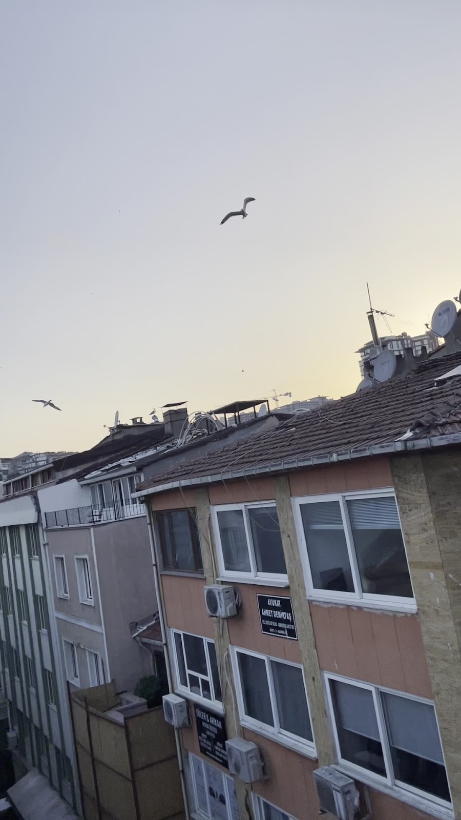 Yazı Tura Barcade photo 5