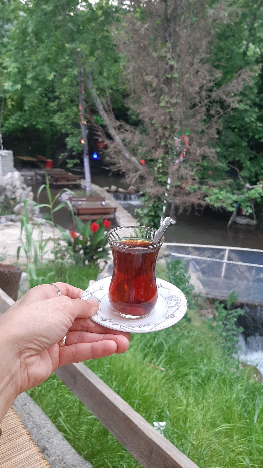 New Saray CSZE Nazarköy Kahvaltı & Restaurant photo 4