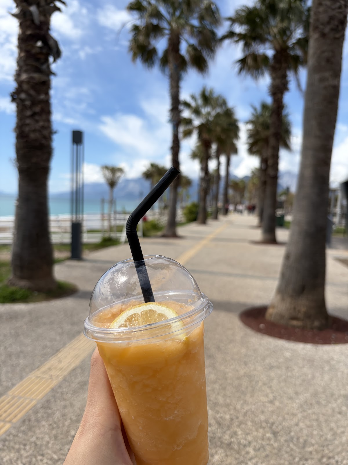 Alabama Beach & Restaurant photo 6