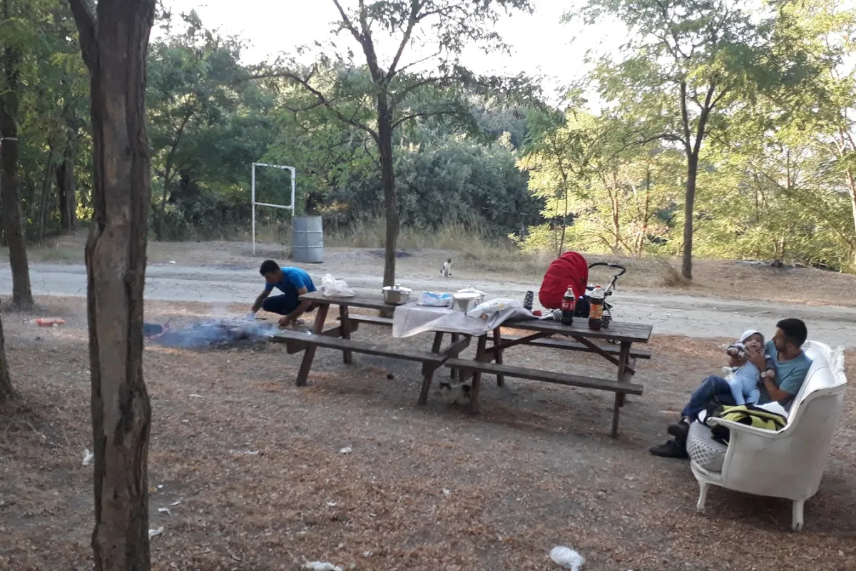 eseçe piknik alanı photo 1