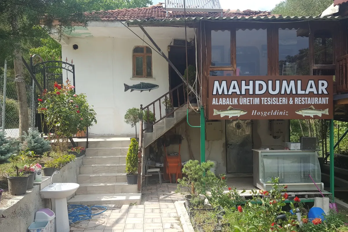 Mahdumlar Alabalık photo 1