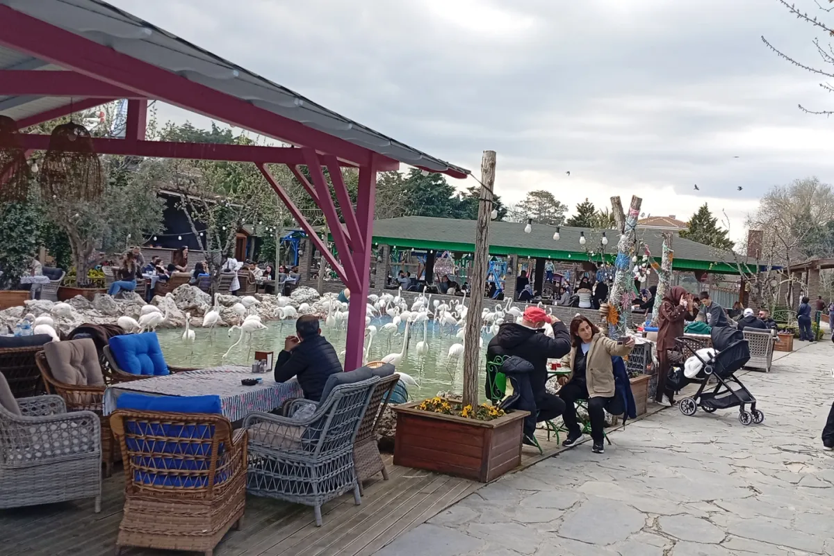 Çatalca Mangal Keyfi photo 1
