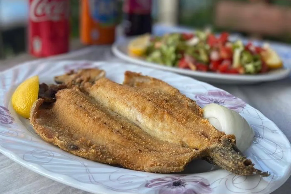 Balkaya Alabalık Çiftliği photo 1