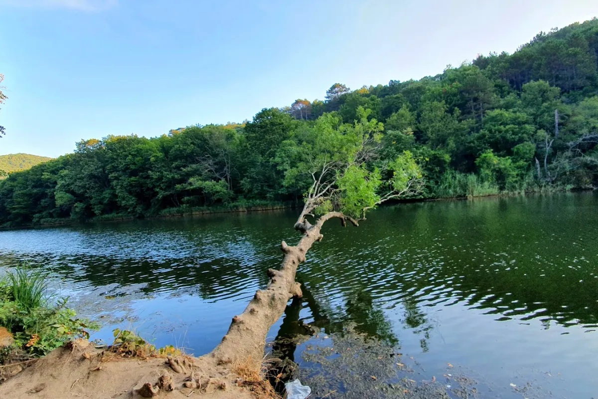 Çamlıköy Nature Park photo 1