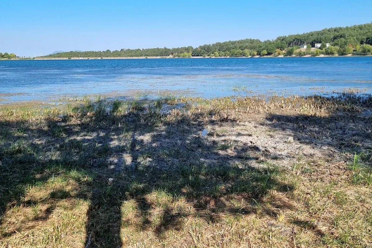 Pelitözü Pond photo 1