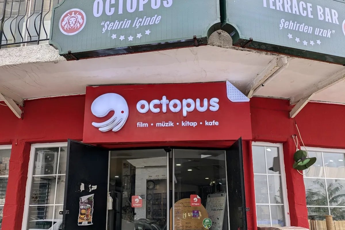 Octopus Book Cafe photo 1