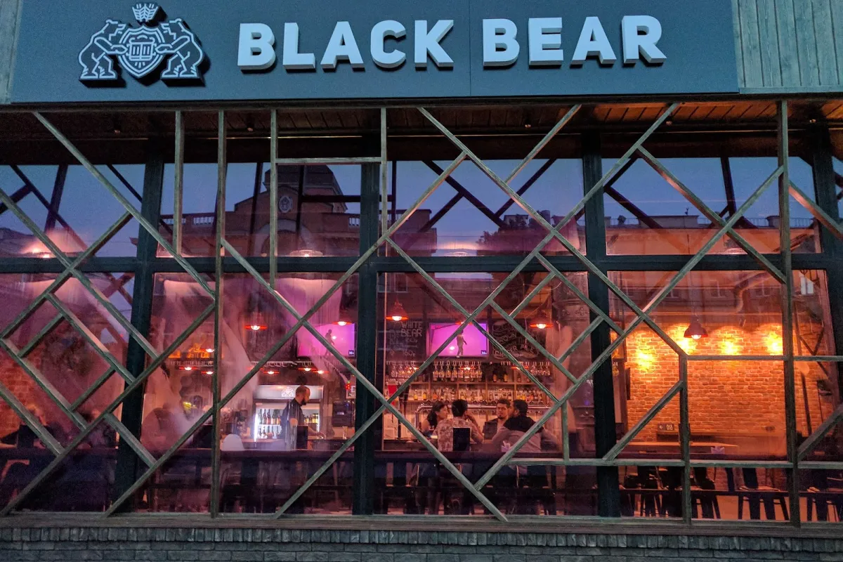 Black Bear photo 1