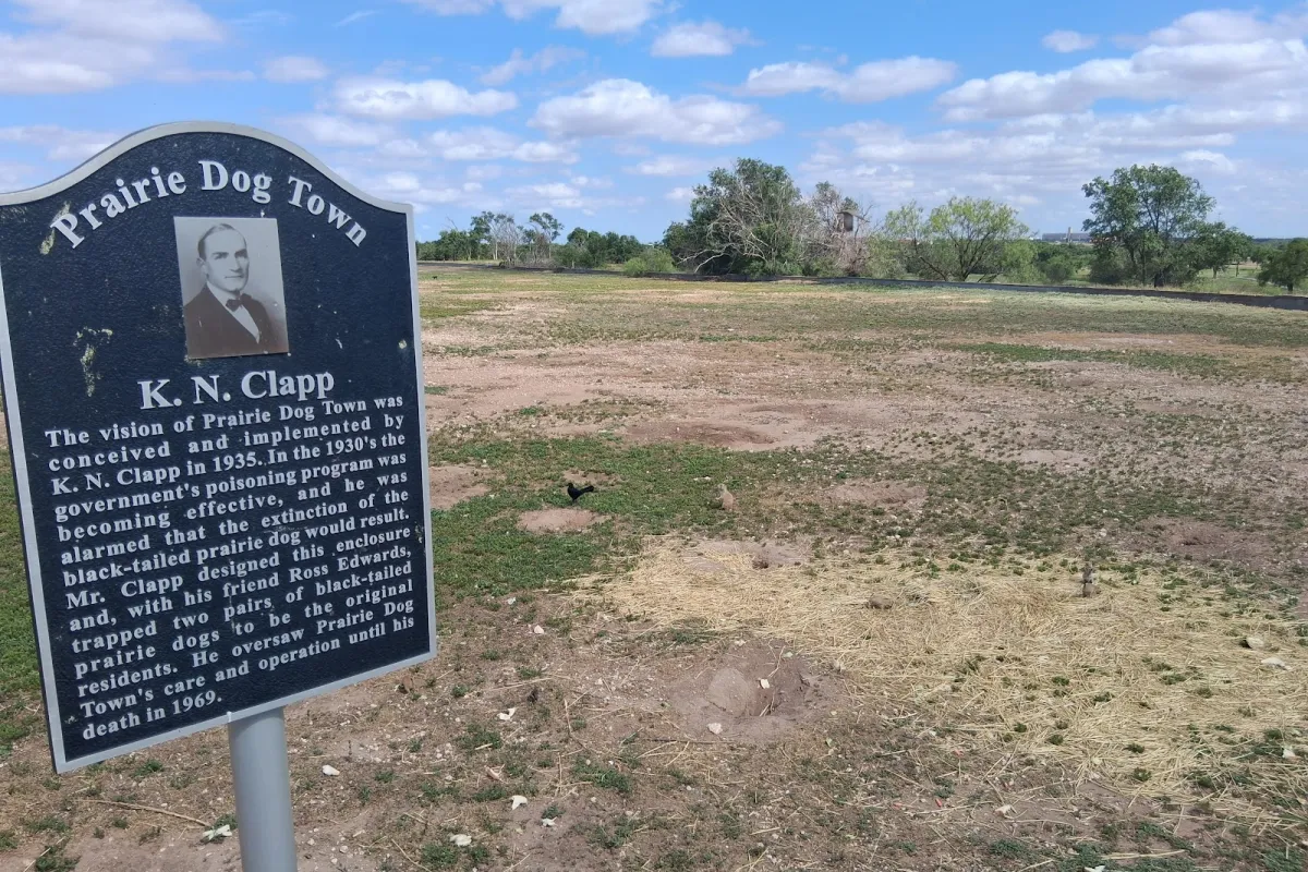Prairie Dog Town photo 1