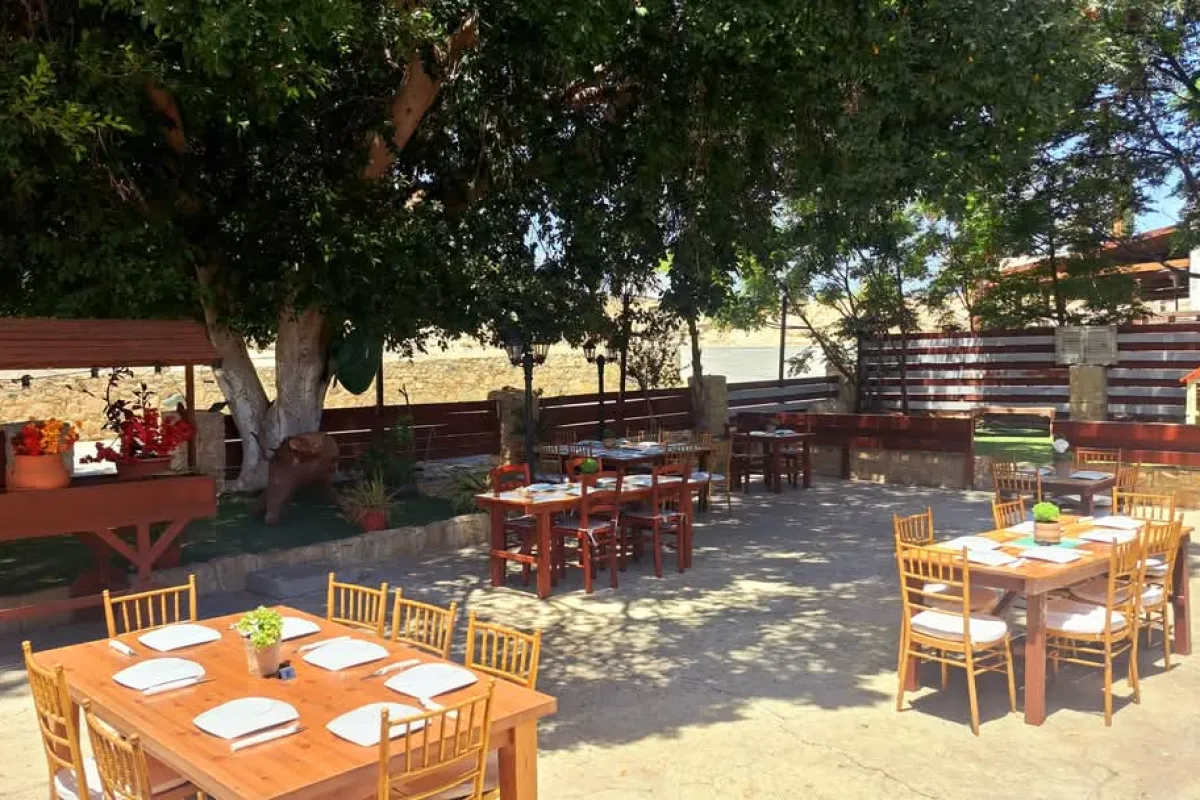 Theos Café photo 1