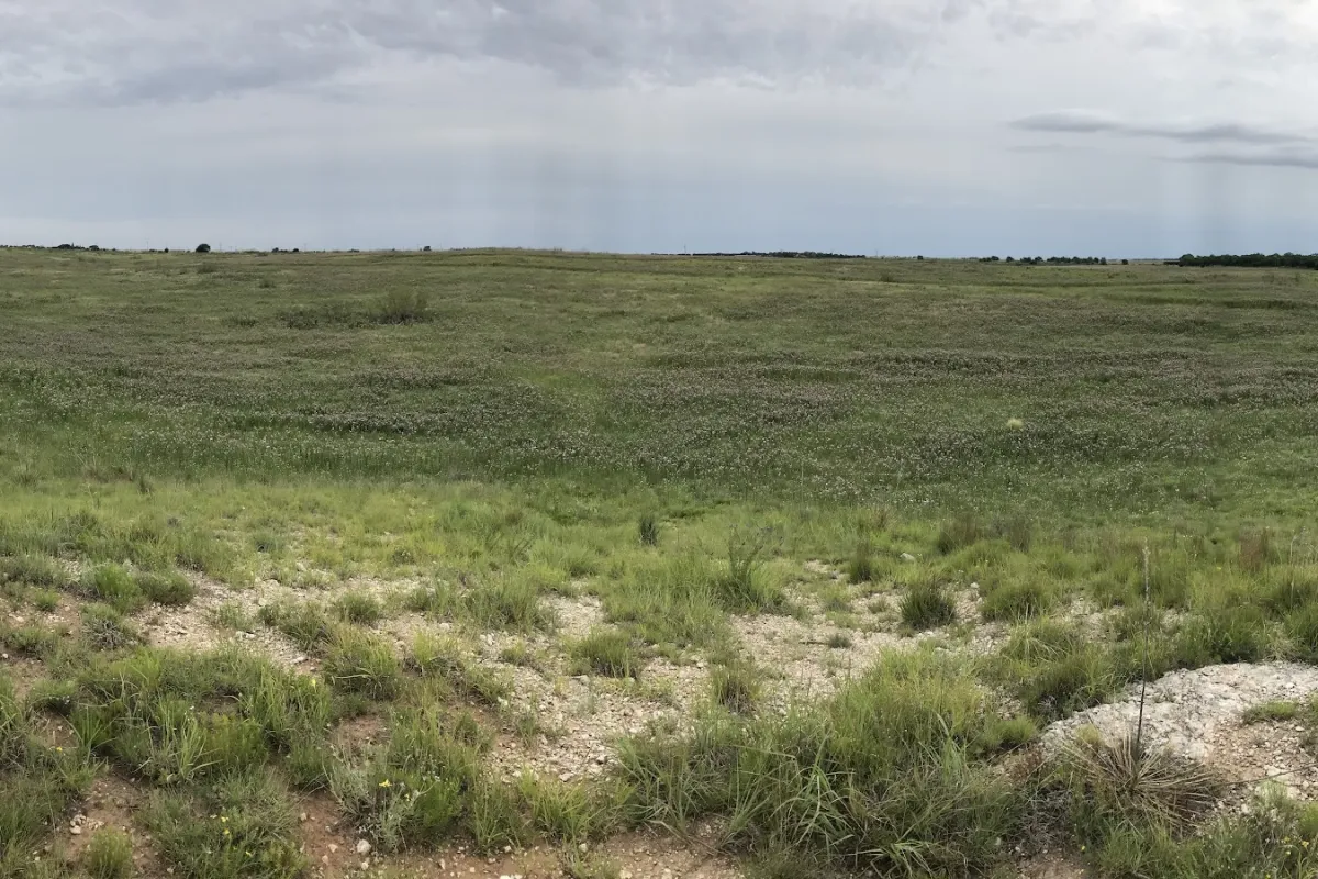 Lubbock Lake National Historic Landmark photo 1