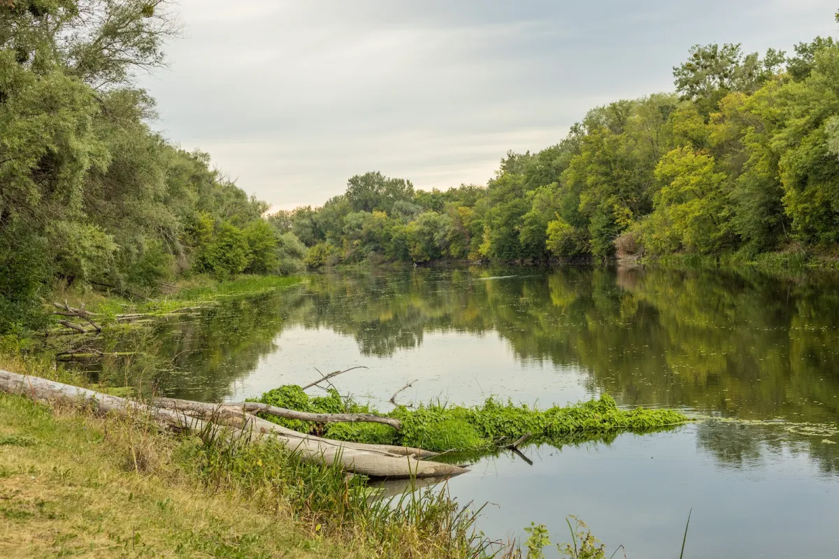 Siverskyi Donets River photo 1