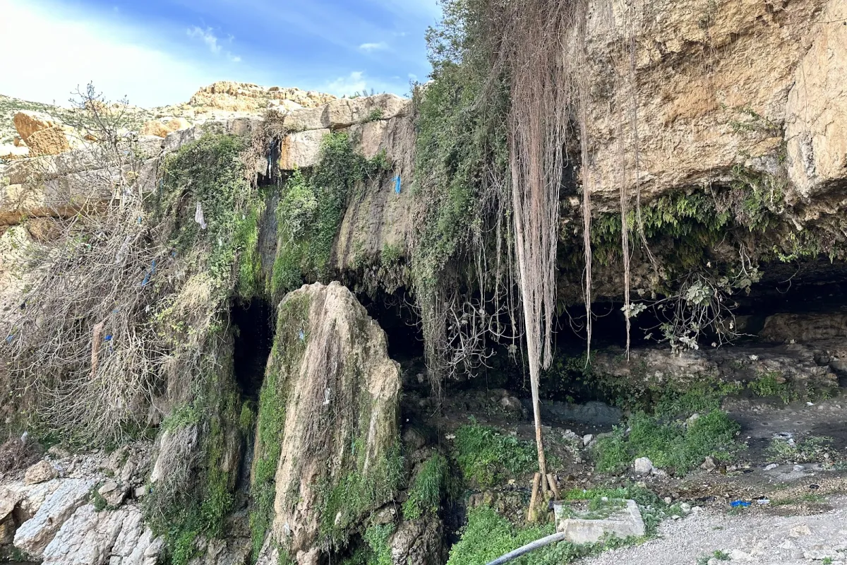 Moses' Spring photo 1