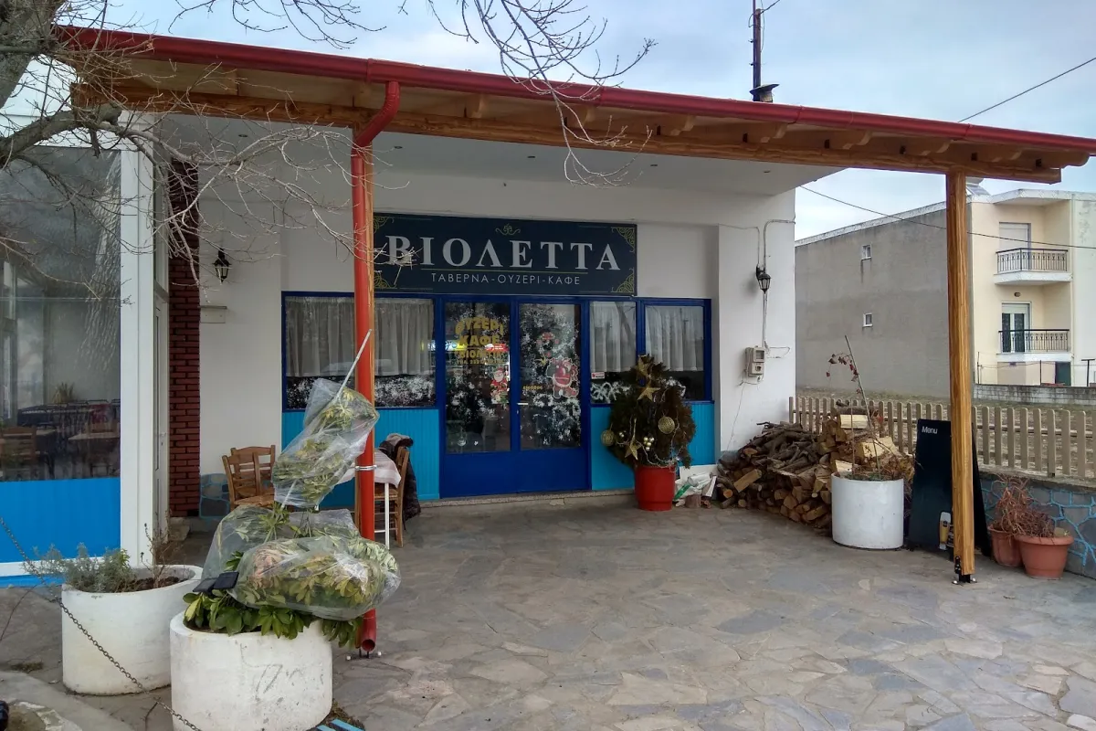 Violeta photo 1