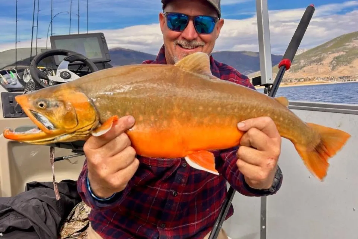 Alpine Fishing Adventures photo 1