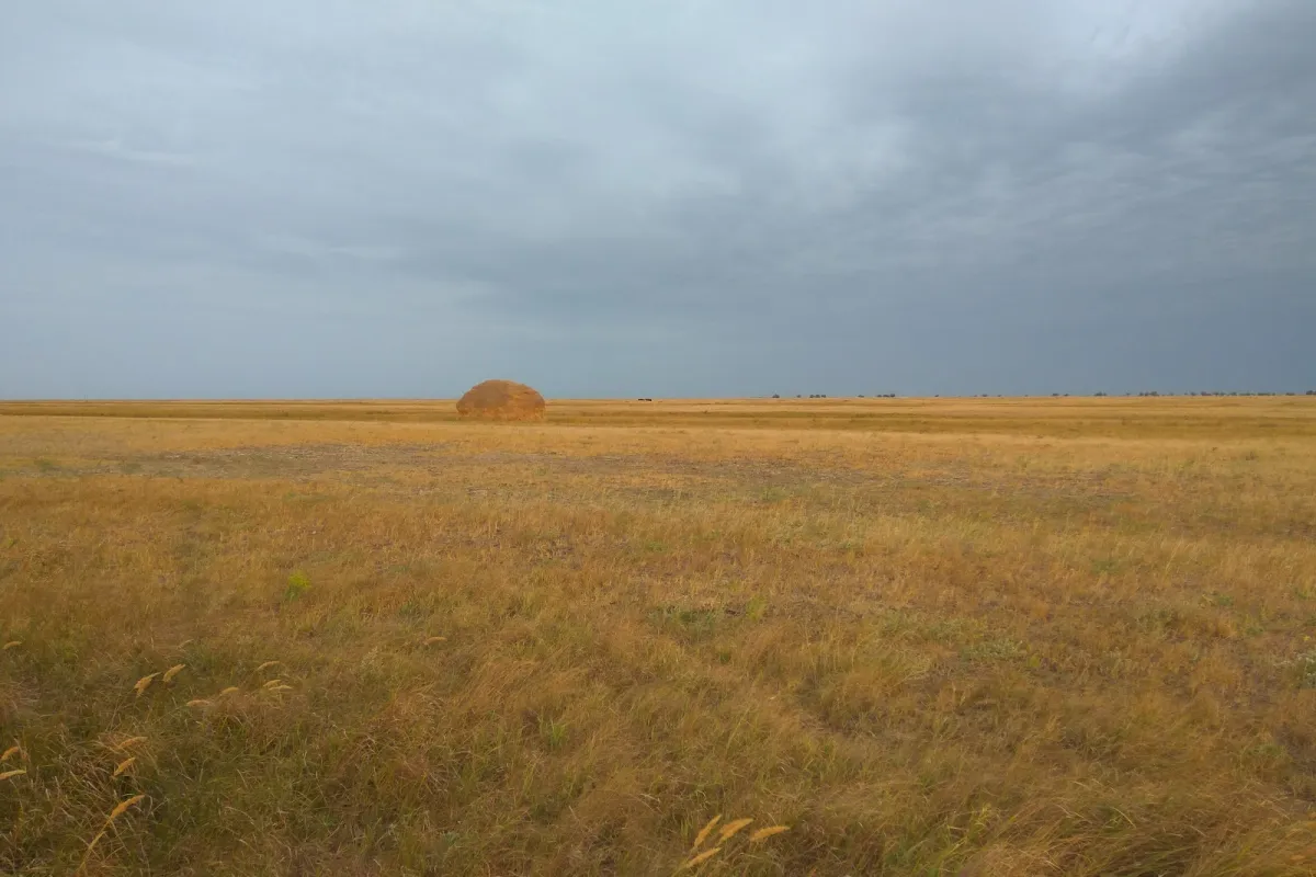 Azov-Syvas'kyi National Park photo 1