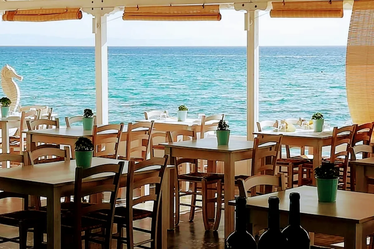 Ippokampos Greek Restaurant photo 1