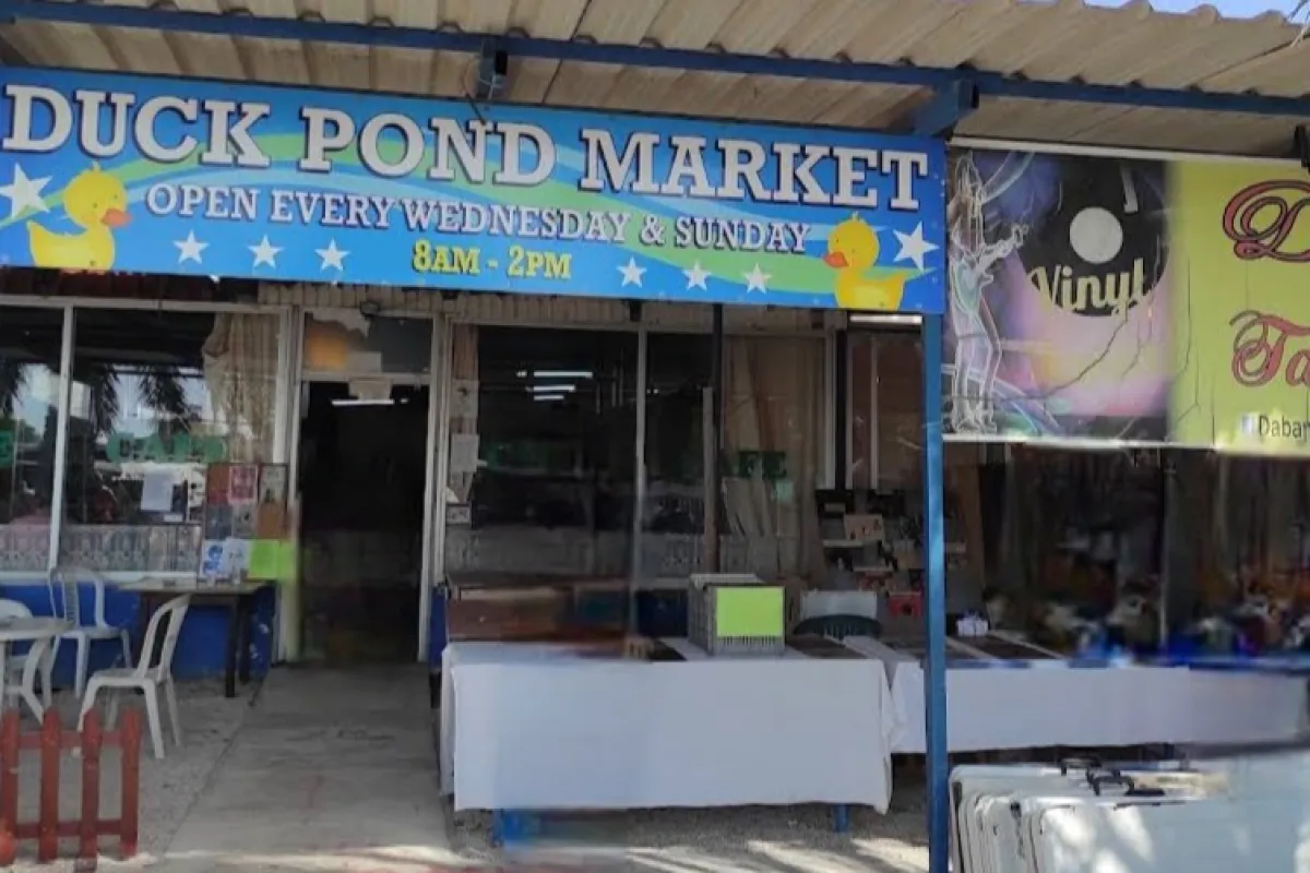 Duck Pond Market photo 1