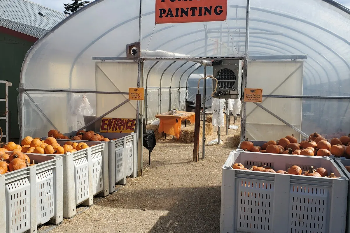 Rocky Mountain Pumpkin Ranch photo 1