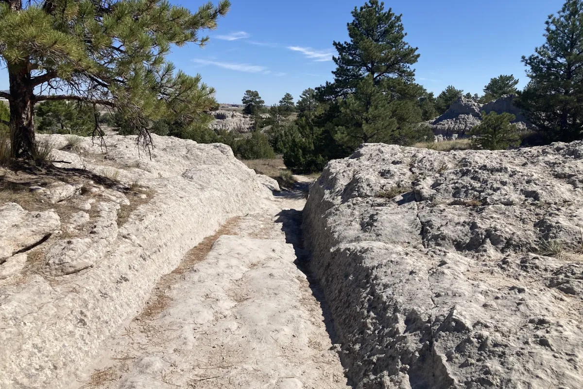 Guernsey Ruts photo 1