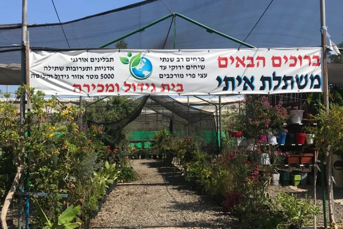משתלת איתי photo 1
