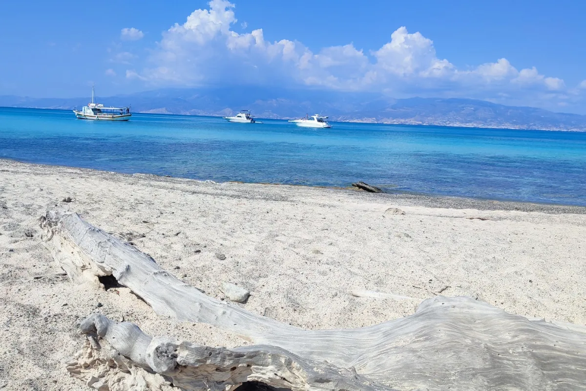 Cryssi Cruises photo 1