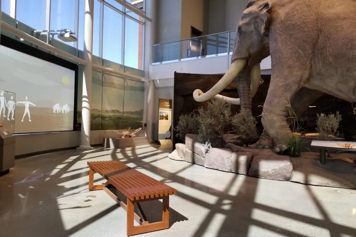 Museum of Idaho photo 1