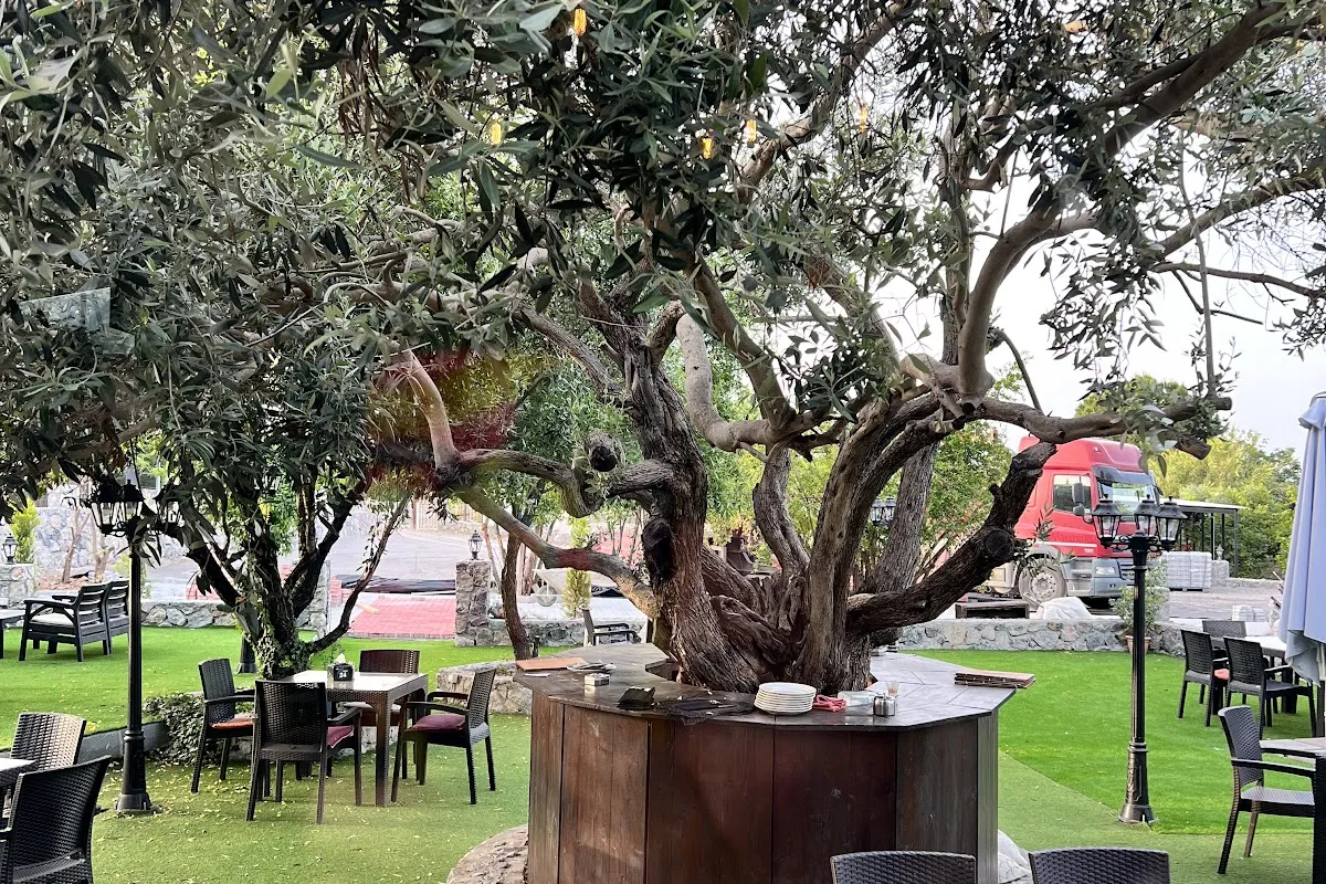 BASILIC CAFE & RESTAURANT photo 1