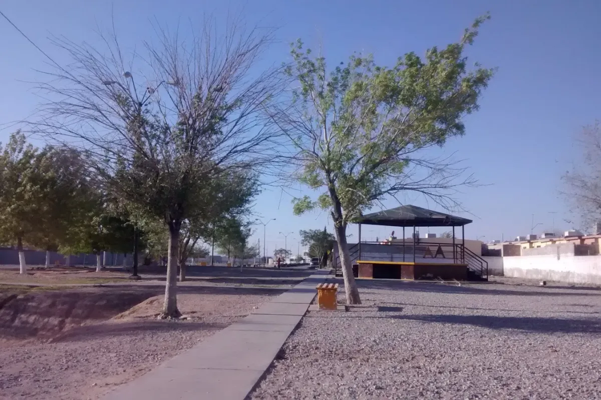 Sierra de Chihuahua Park photo 1