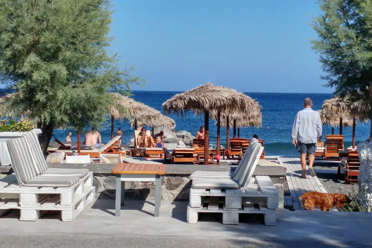Beach Bar photo 1