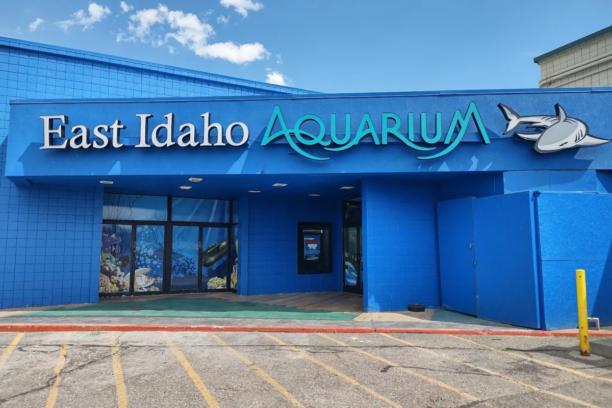 East Idaho Aquarium photo 1