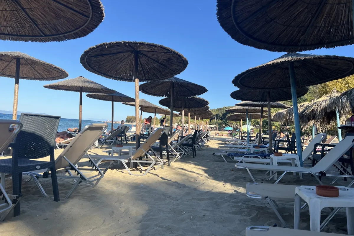 Ecstasy Beach Bar photo 1