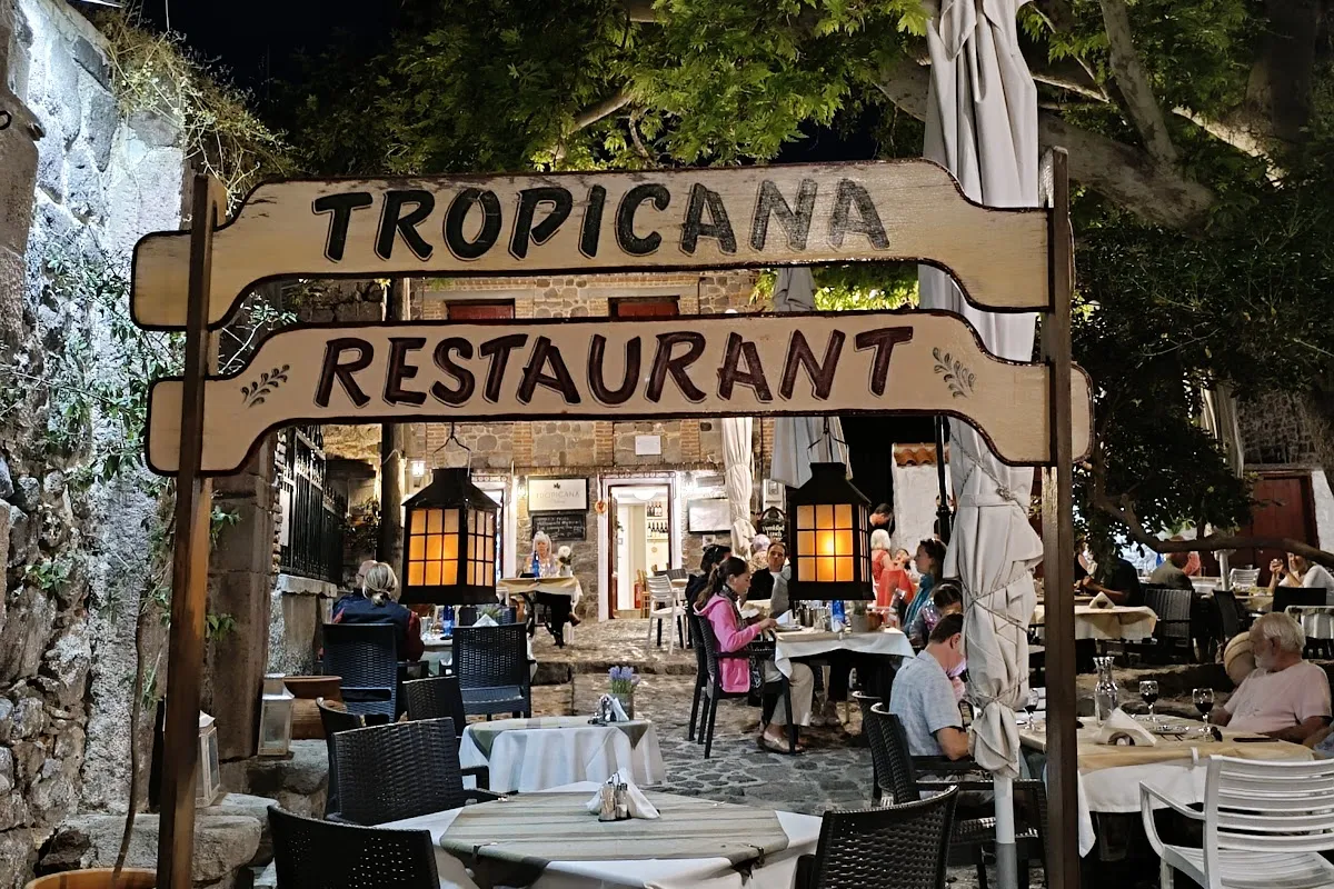 Tropicana Platanos photo 1