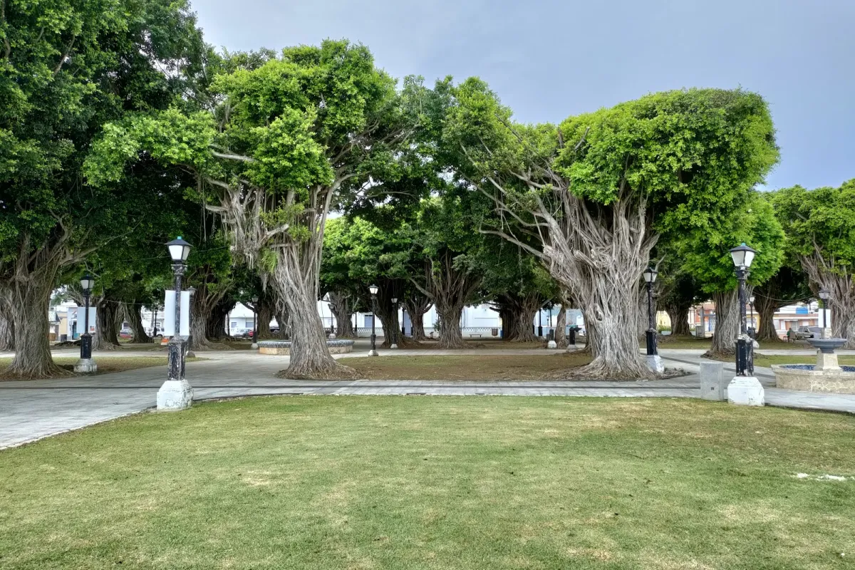 Plaza Luis Muñoz Rivera photo 1