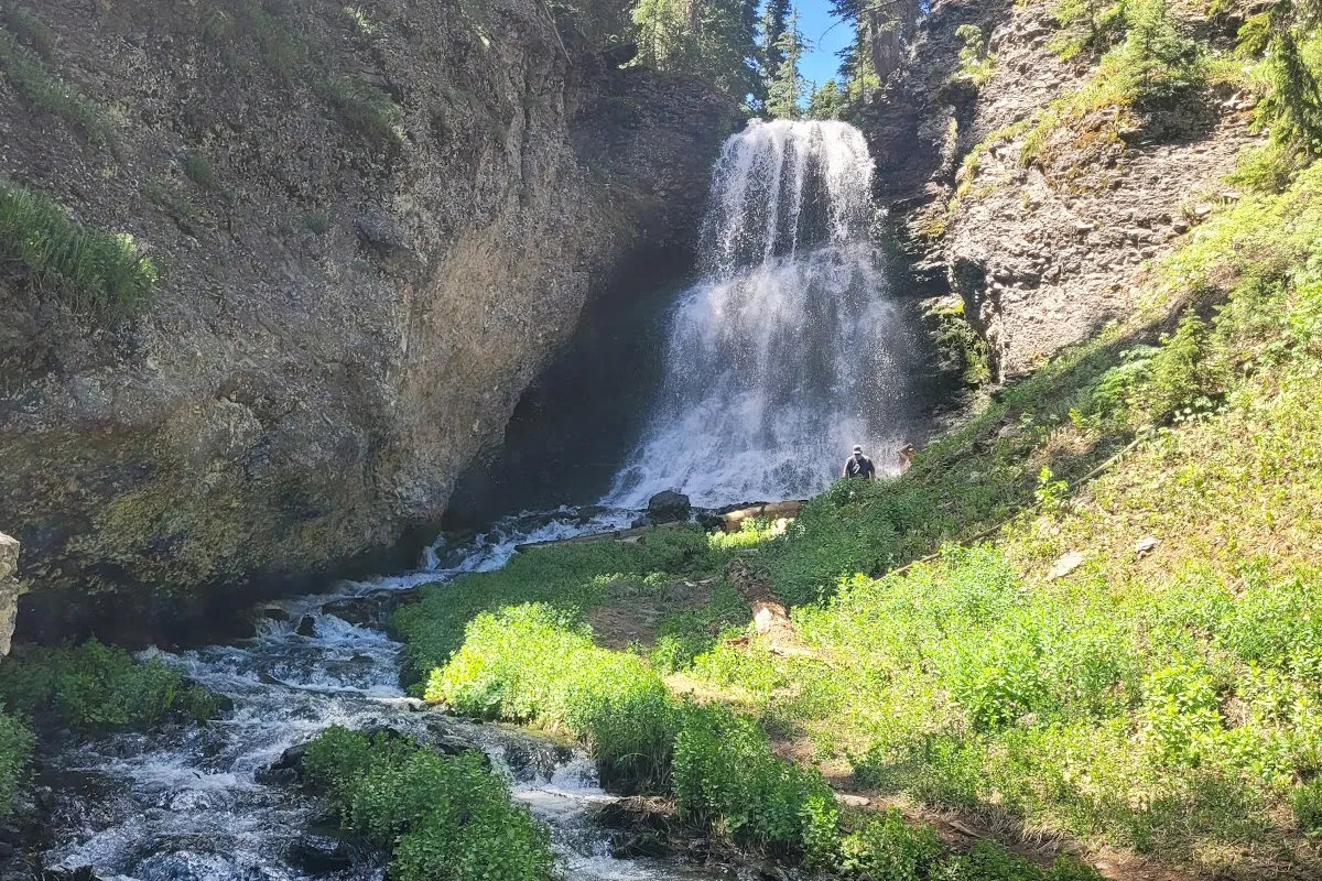 Uncompahgre National Forest photo 1