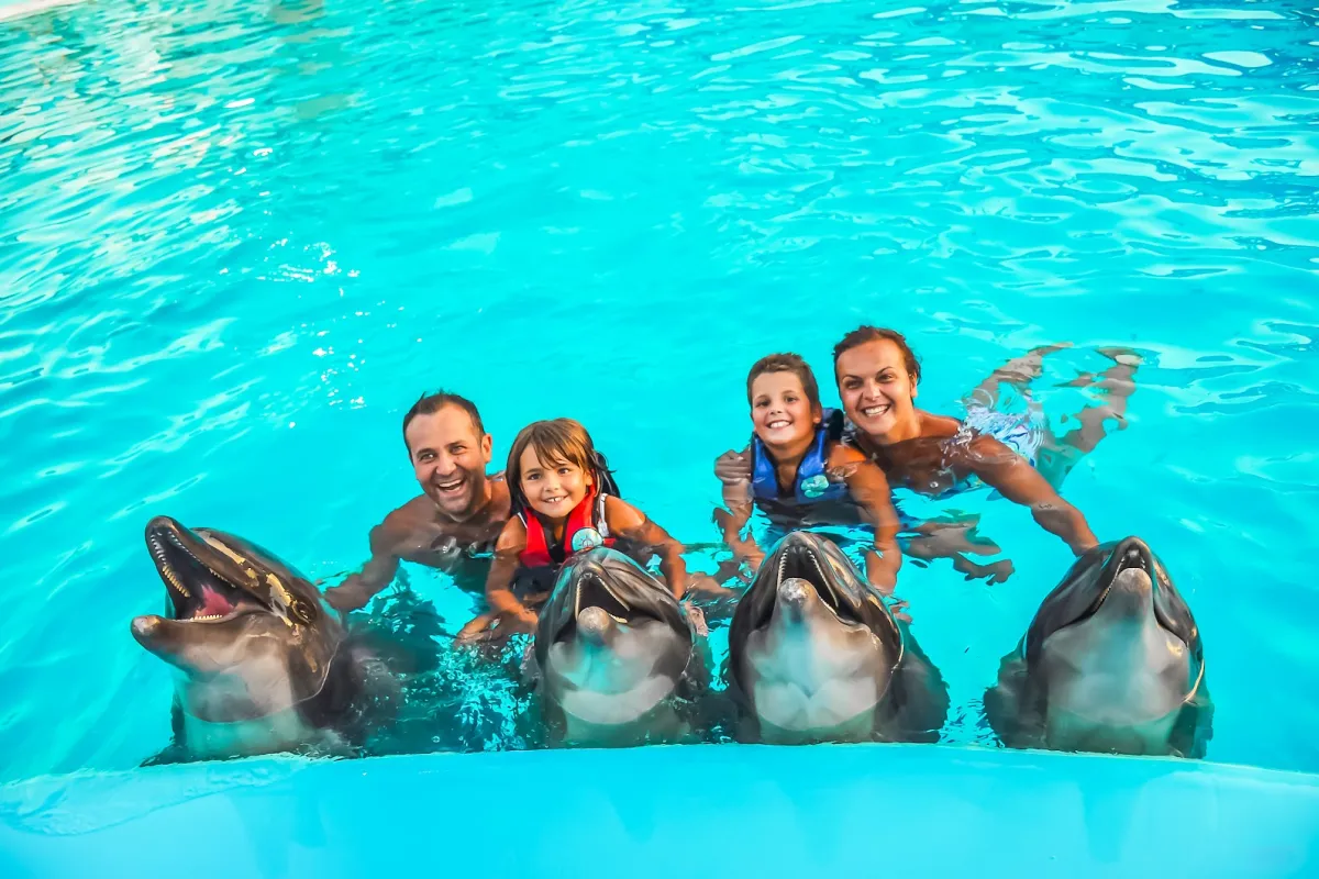 Dolphin World Egypt photo 1
