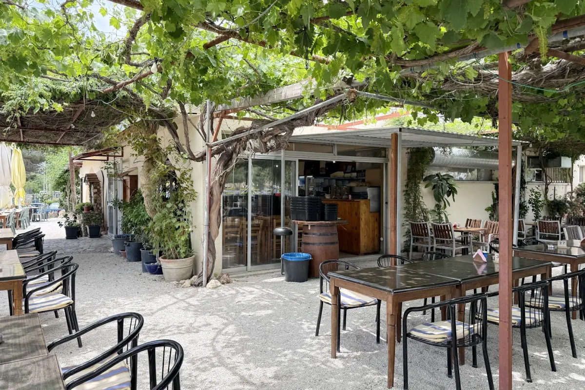 olive tree tavern photo 1