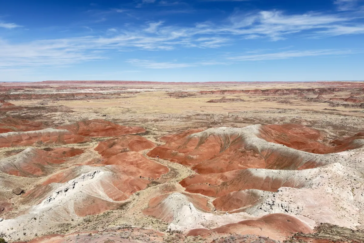 Petrified Forest National Park photo 1