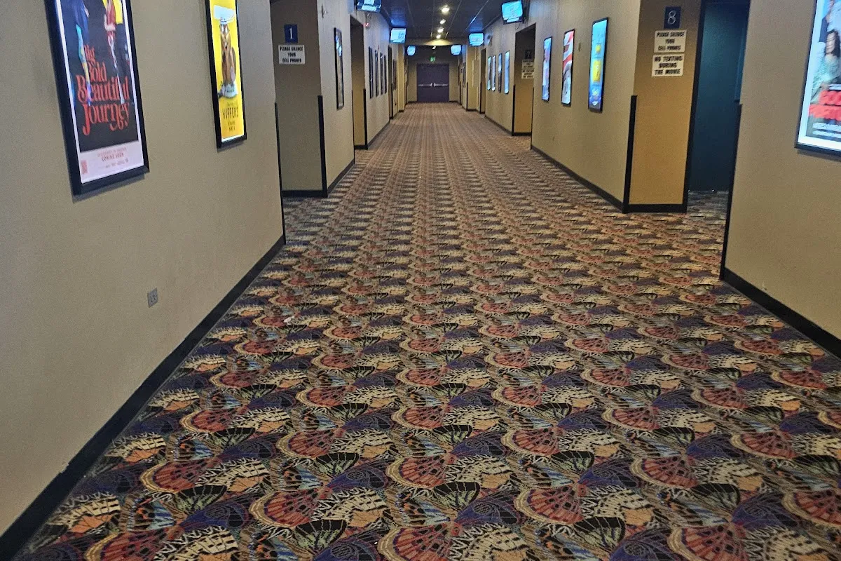 Skyline Cinema 8 photo 1