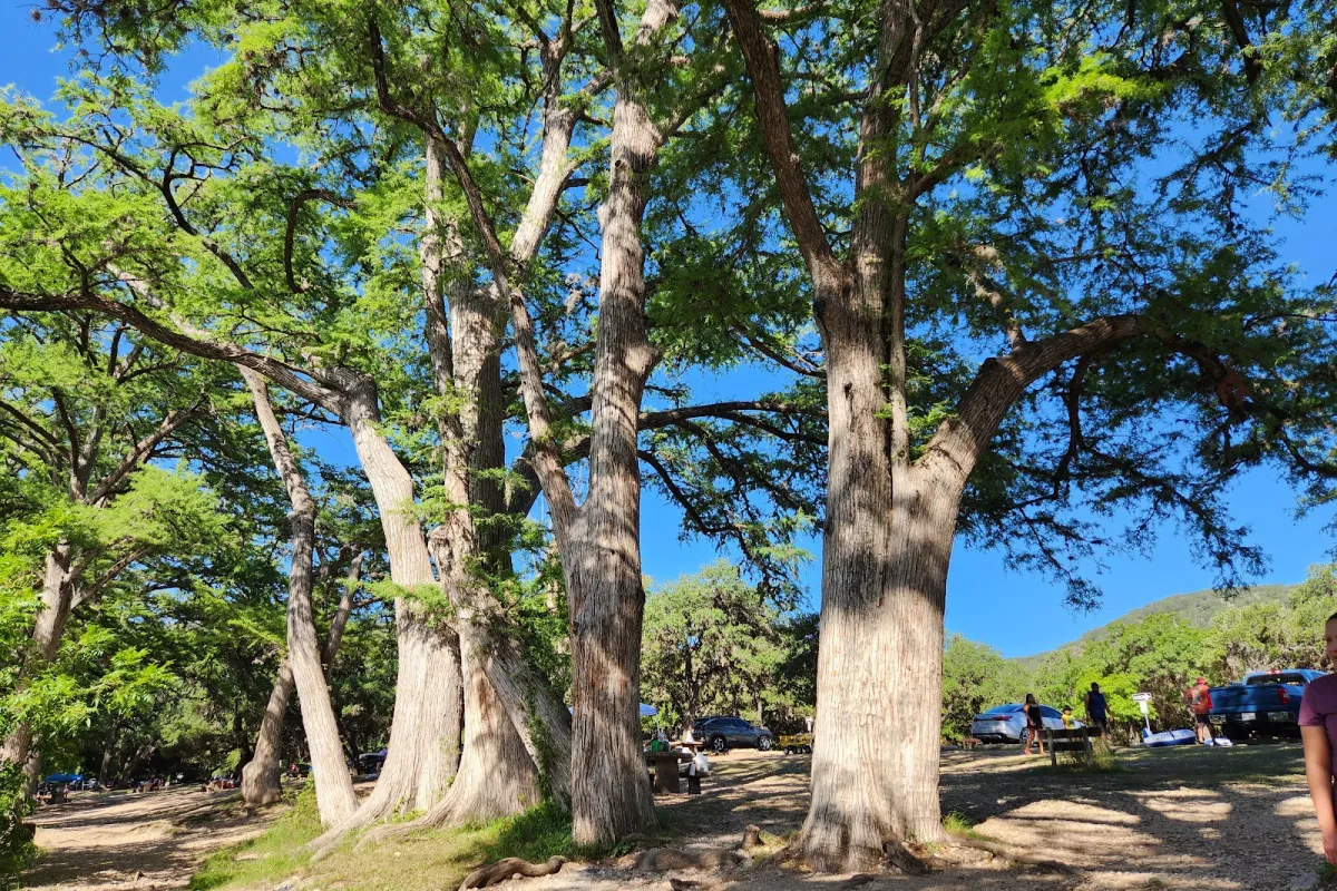 Garner Dam and Picnic Area photo 1