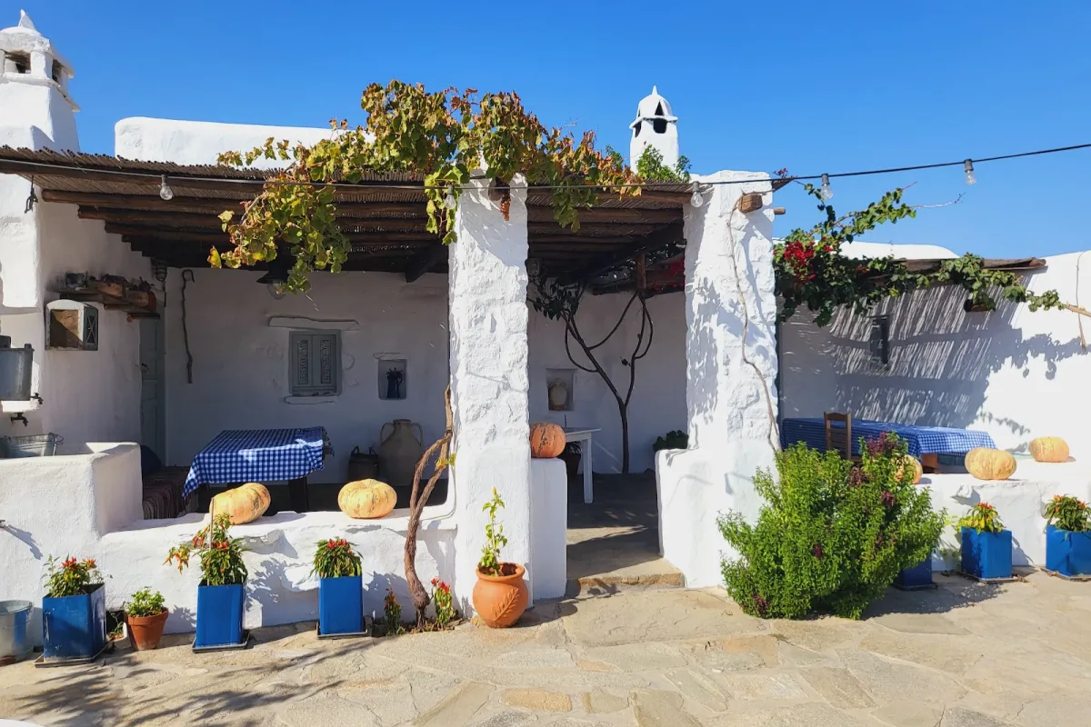 RIZES Mykonos - Folklore Farmstead photo 1
