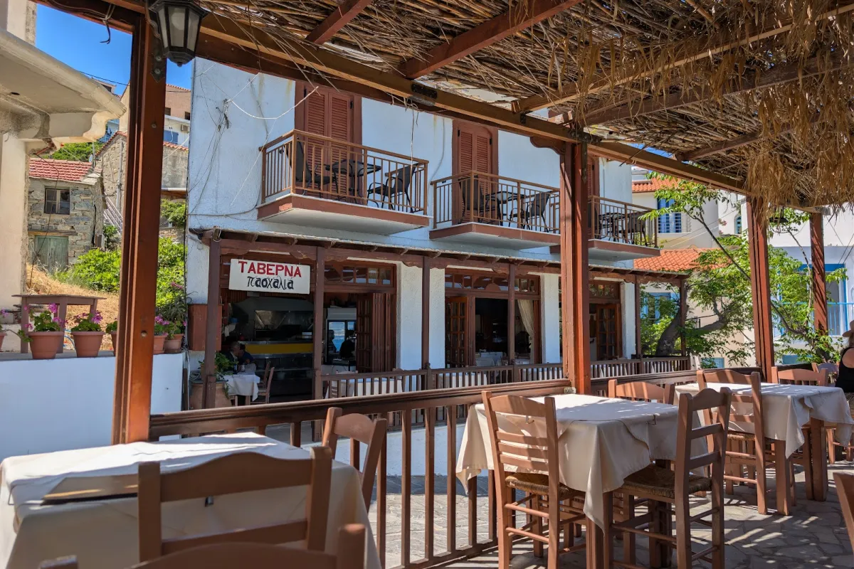 Tavern Paschalia photo 1
