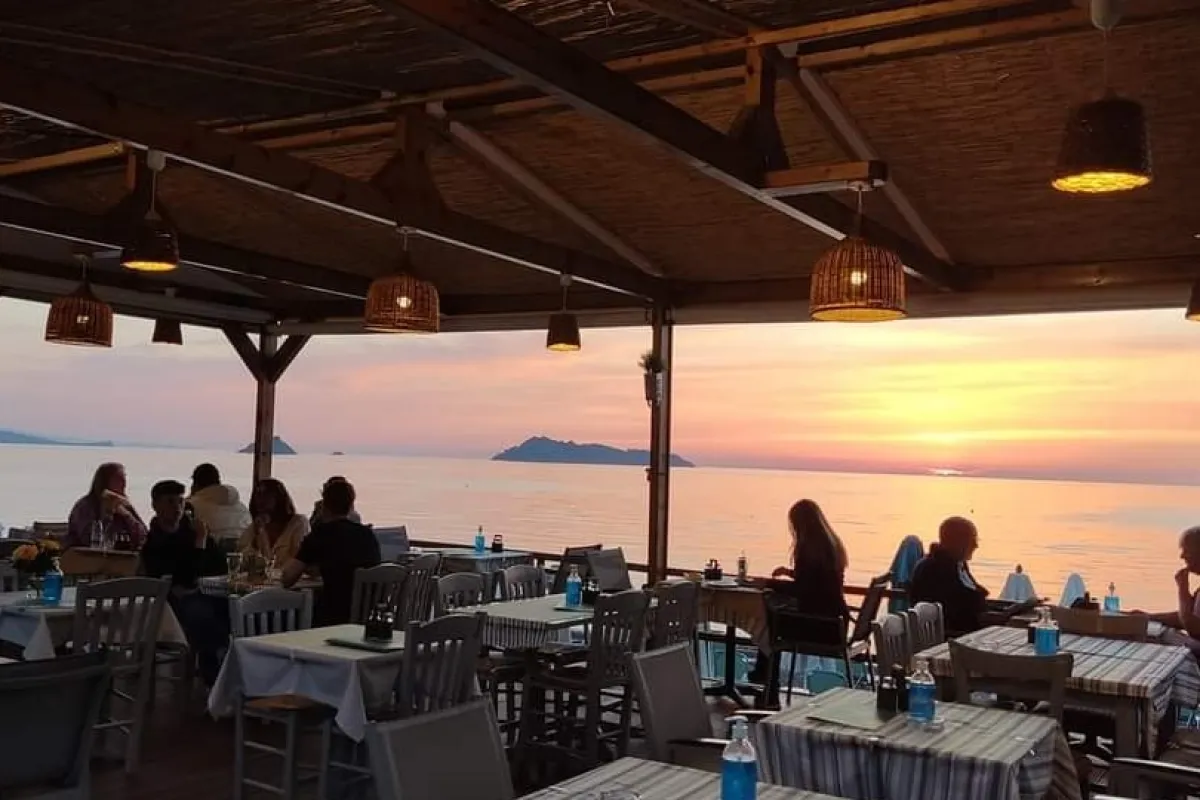 Oliva restaurant photo 1