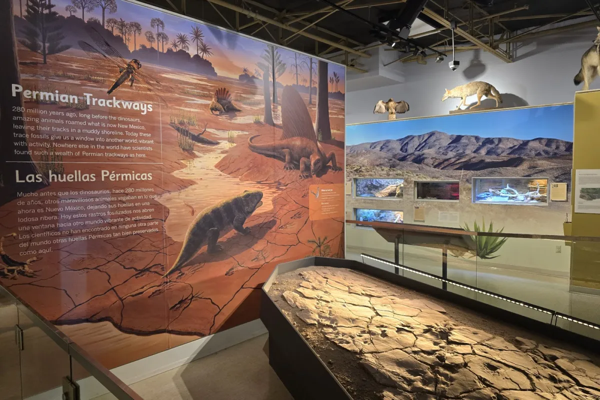 Museum of Nature & Science photo 1