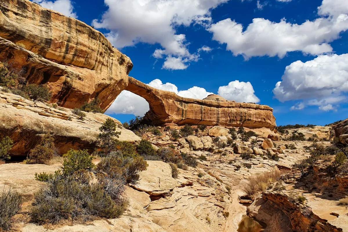 Natural Bridges National Monument photo 1